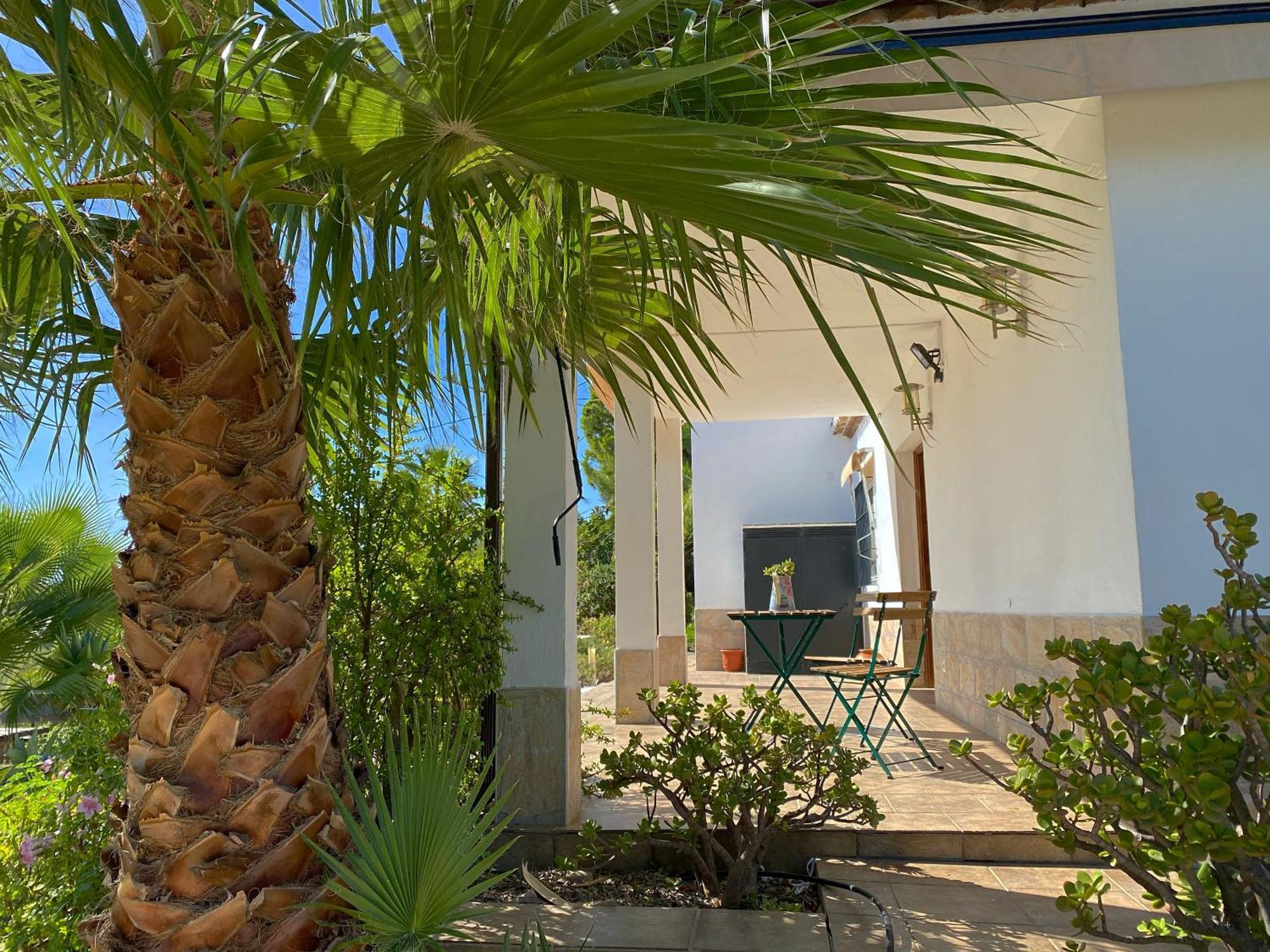 Las Palmeras Pizarra Extérieur photo